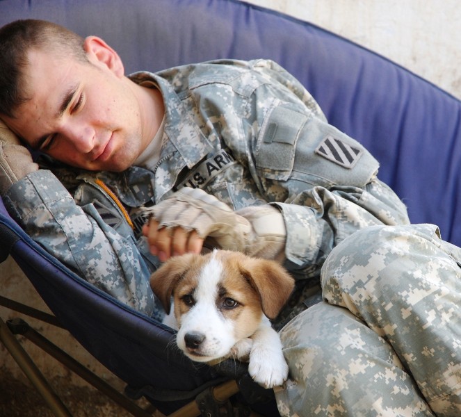 Soldier and puppy